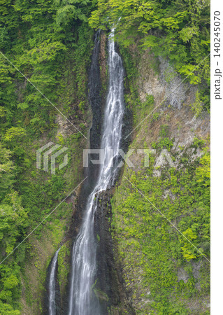 九重“夢”大吊橋から望む新緑の震動の滝(雄滝)・大分県 九重“夢”大吊橋から望む新緑の震動の滝(雄滝)・大分県 140245070