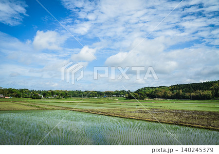 田植え時期の水田と緑豊かな里山の景色 田植え時期の水田と緑豊かな里山の景色 140245379