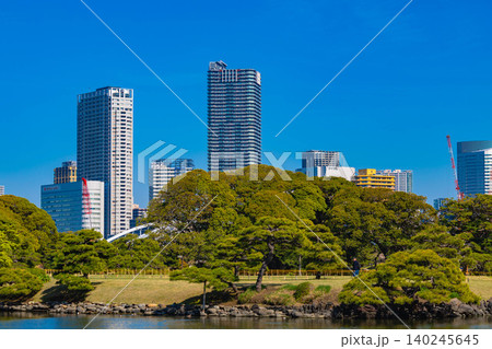 浜離宮恩賜庭園 浜離宮恩賜庭園 140245645