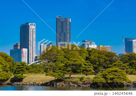 浜離宮恩賜庭園 浜離宮恩賜庭園 140245646