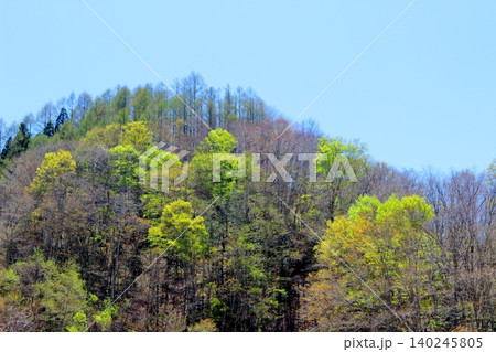 5月の白馬村からの北アルプス 信州の山々 信州の風景 5月の白馬村からの北アルプス 信州の山々 信州の風景 140245805