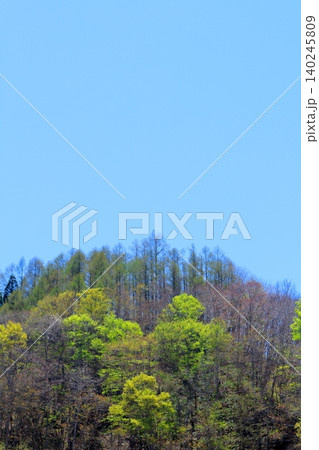 5月の白馬村からの北アルプス 信州の山々 信州の風景 5月の白馬村からの北アルプス 信州の山々 信州の風景 140245809