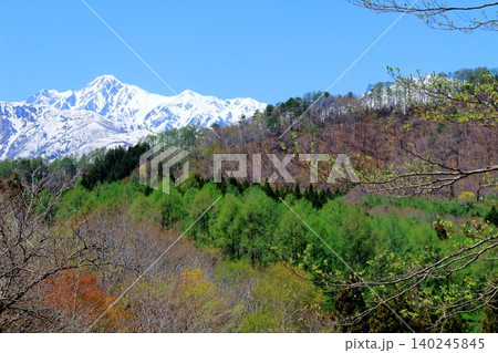 5月の白馬村からの北アルプス 信州の山々 信州の風景 5月の白馬村からの北アルプス 信州の山々 信州の風景 140245845