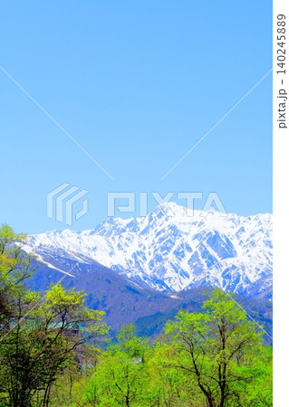 5月の白馬村からの北アルプス 信州の山々 信州の風景 5月の白馬村からの北アルプス 信州の山々 信州の風景 140245889