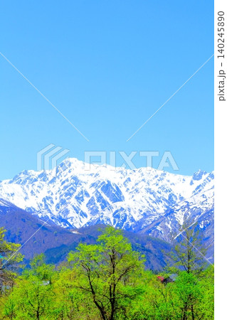 5月の白馬村からの北アルプス 信州の山々 信州の風景 5月の白馬村からの北アルプス 信州の山々 信州の風景 140245890