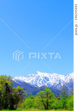 5月の白馬村からの北アルプス 信州の山々 信州の風景 5月の白馬村からの北アルプス 信州の山々 信州の風景 140245891