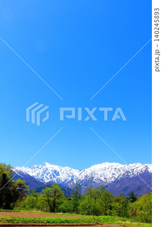 5月の白馬村からの北アルプス 信州の山々 信州の風景 5月の白馬村からの北アルプス 信州の山々 信州の風景 140245893