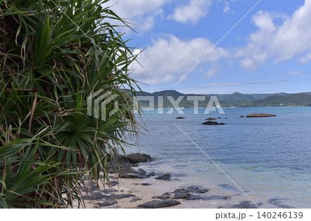 奄美大島2026初夏 140246139