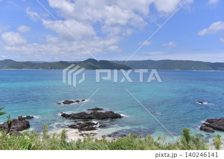奄美大島2026初夏 奄美大島2026初夏 140246141