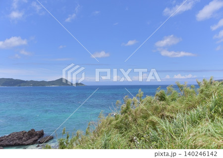 奄美大島2026初夏 140246142