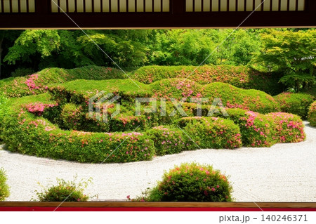 滋賀県甲賀市にある大池寺の書院から眺める蓬莱庭園のサツキ【6月】 滋賀県甲賀市にある大池寺の書院から眺める蓬莱庭園のサツキ【6月】 140246371