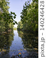 View of a moat in a nature reserve 140246428