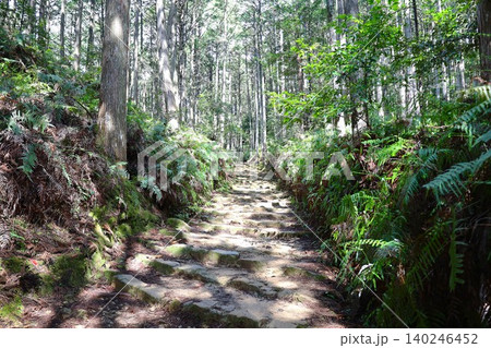 世界遺産熊野古道中辺路の熊野本宮大社付近の風景5 世界遺産熊野古道中辺路の熊野本宮大社付近の風景5 140246452