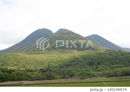 長者原のタデ原湿原に広がる新緑の景色とくじゅう連山・大分県 長者原のタデ原湿原に広がる新緑の景色とくじゅう連山・大分県 140246674