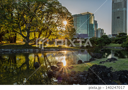 潮入の池に映る太陽の光芒と夕日に照らされる木々 浜離宮恩賜庭園 2023年11月 潮入の池に映る太陽の光芒と夕日に照らされる木々 浜離宮恩賜庭園 2023年11月 140247017