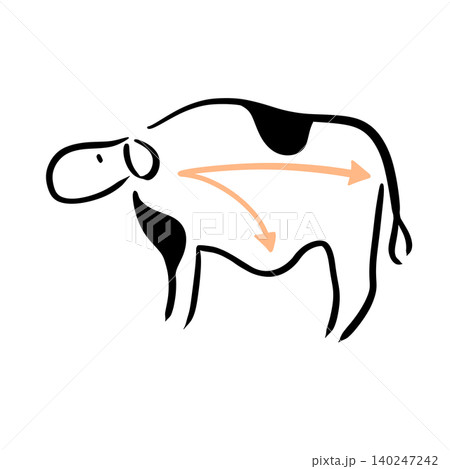 飼料の道筋を示した乳牛の線画イラスト|牛乳・糞・酪農図解 飼料の道筋を示した乳牛の線画イラスト|牛乳・糞・酪農図解 140247242
