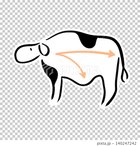 飼料の道筋を示した乳牛の線画イラスト|牛乳・糞・酪農図解 飼料の道筋を示した乳牛の線画イラスト|牛乳・糞・酪農図解 140247242