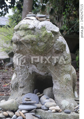 磯前神社の狛犬 磯前神社の狛犬 140247515