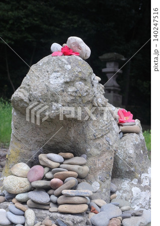 磯前神社の狛犬 磯前神社の狛犬 140247516