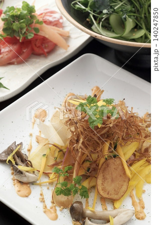 揚げごぼうのサラダ 揚げごぼうのサラダ 140247850