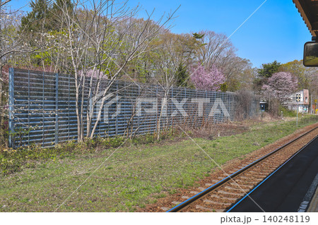 April 26 2026 Onumakoen Station train arriving beside cherry blossoms platform April 26 2026 Onumakoen Station train arriving beside cherry blossoms platform 140248119