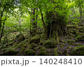 男池湧水群の周辺に広がる苔むした森・大分県 140248410