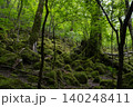男池湧水群の周辺に広がる苔むした森・大分県 140248411