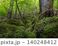 男池湧水群の周辺に広がる苔むした森・大分県 140248412