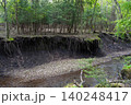 男池湧水群の周辺に広がる苔むした森・大分県 140248417