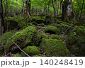 男池湧水群の周辺に広がる苔むした森・大分県 140248419