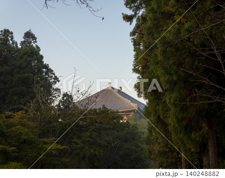 樹木の間から見える東大寺大仏殿の大屋根 樹木の間から見える東大寺大仏殿の大屋根 140248882