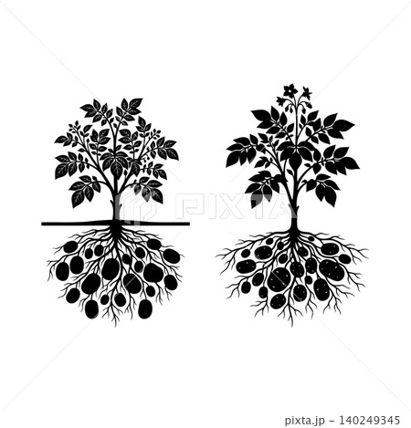 Potato tree silhouette vector Potato tree silhouette vector 140249345