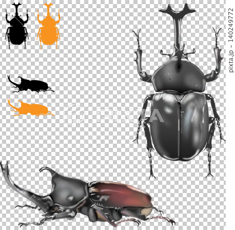 カブトムシのオス 全身イラスト セット（背面・側面） 140249772