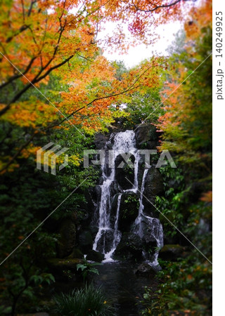 紅葉に包まれた滝 紅葉に包まれた滝 140249925
