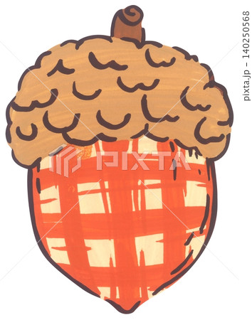 Hand Drawn Acorn Illustration Hand Drawn Acorn Illustration 140250568
