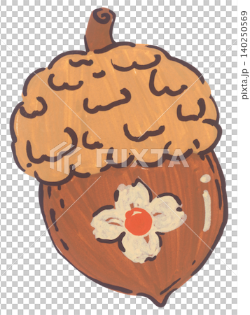Hand Drawn Acorn Illustration Hand Drawn Acorn Illustration 140250569