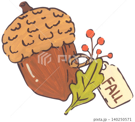 Hand Drawn Acorn Illustration Hand Drawn Acorn Illustration 140250571
