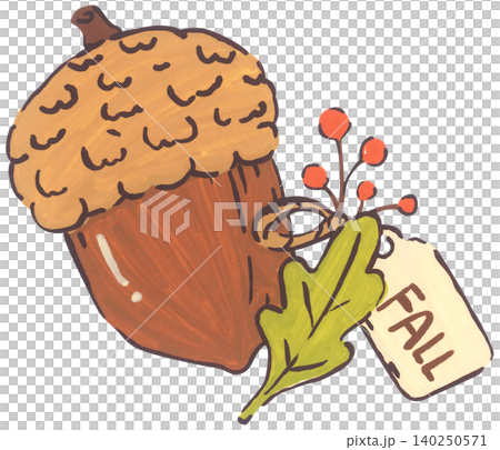 Hand Drawn Acorn Illustration Hand Drawn Acorn Illustration 140250571