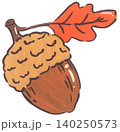 Hand Drawn Acorn Illustration 140250573