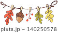 Hand Drawn Acorn Illustration 140250578