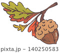 Hand Drawn Acorn Illustration 140250583
