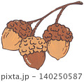 Hand Drawn Acorn Illustration 140250587