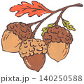 Hand Drawn Acorn Illustration 140250588