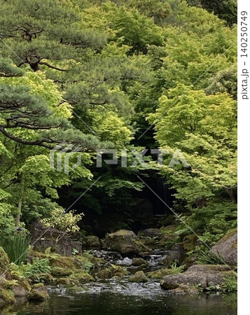 大山の風景 140250749