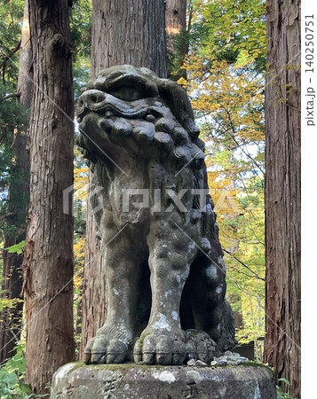 大山寺の狛犬 大山寺の狛犬 140250751