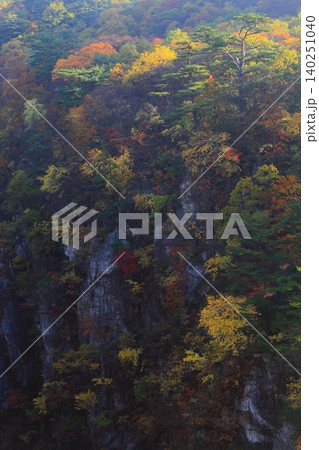 霧に覆われた紅葉の山肌 霧に覆われた紅葉の山肌 140251040