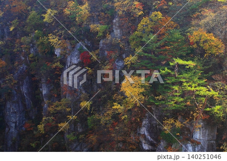 霧に覆われた紅葉の山肌 140251046