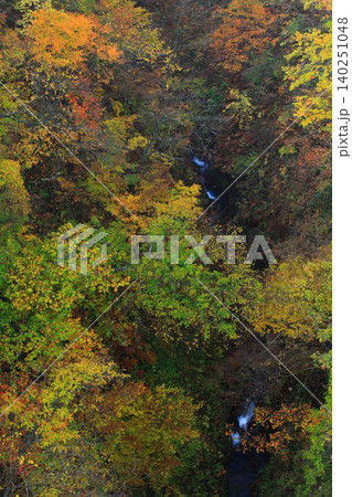 霧に覆われた紅葉の山肌 140251048