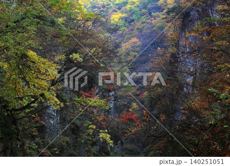 霧に覆われた紅葉の山肌 霧に覆われた紅葉の山肌 140251051