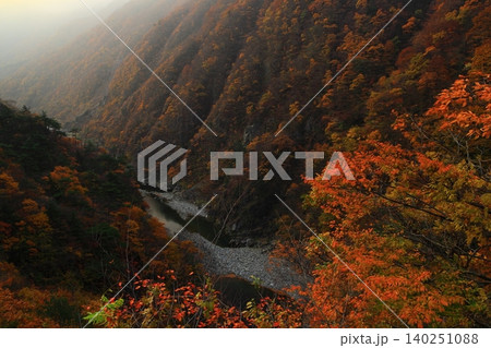 紅葉した木々 紅葉した木々 140251088